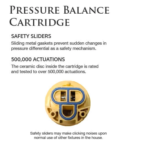 PearlĀ® Shower Systems ETHAN Hand Shower